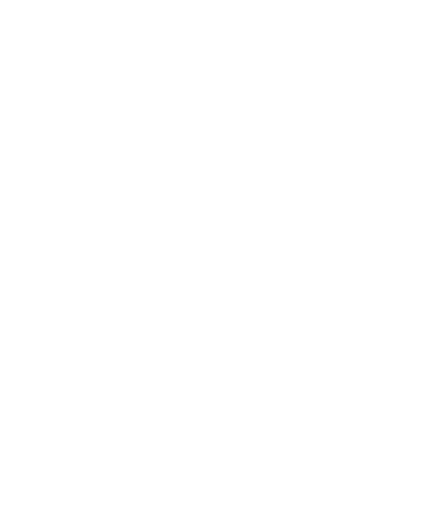 audit 1