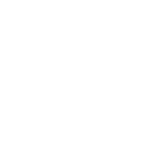 budget 1 1