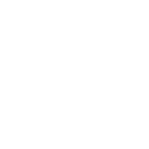 customer 1