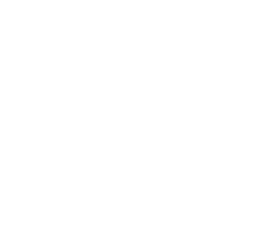due diligence 1