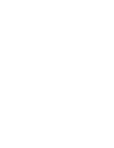 financial report 1