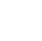 organization 1