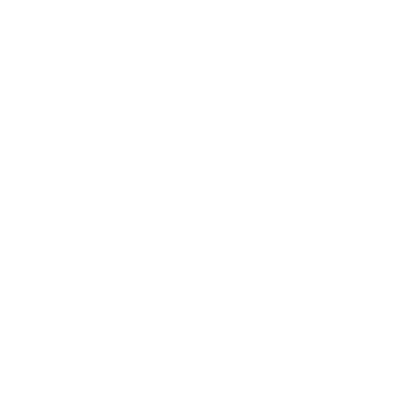 risk taker 1